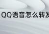 QQ语音怎么转发（QQ语音怎么转发）