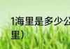 1海里是多少公里（1海里等于多少公里）