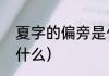 夏字的偏旁是什么（夏的偏旁部首叫什么）