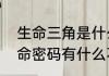 生命三角是什么（生命密码和三角生命密码有什么不一样）