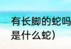 有长脚的蛇吗（一条很细的长脚的蛇是什么蛇）