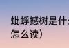 蚍蜉撼树是什么意思（蚍蛴这两个字怎么读）