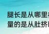 腿长是从哪里往下量（腿长都是怎么量的是从肚挤眼开始量吗）