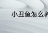 小丑鱼怎么养（小丑鱼怎么养）