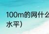 100m的网什么水平（100m的网什么水平）