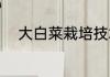 大白菜栽培技术（白菜怎么种植）