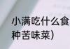 小满吃什么食物最好（小满必吃的7种苦味菜）