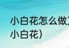 小白花怎么做又漂亮又简单（如何扎小白花）