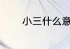 小三什么意思（什么叫小三）