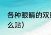 各种眼睛的双眼皮怎么贴（双眼皮怎么贴）
