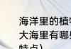 海洋里的植物有哪些及其生存本领（大海里有哪些植物和动物，与它们的特点）