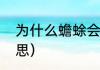 为什么蟾蜍会抱鱼（青蛙抱鱼什么意思）