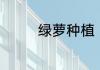 绿萝种植（绿萝如何种植）