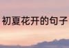 初夏花开的句子（五月初夏精辟句子）