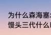 为什么森海塞尔很厉害（森海塞尔大馒头三代什么时候出来）