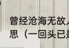 曾经沧海无故人,回首已是百年身的意思（一回头已是百年身什么意思）