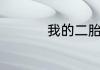 我的二胎时代最后结局