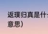 返璞归真是什么意思（返璞归真什么意思）