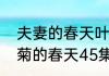 夫妻的春天叶爱武怀了谁的孩子（小菊的春天45集大结局）