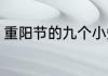 重阳节的九个小知识（重阳节的含义）