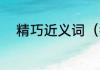 精巧近义词（独到之处，近义词）