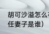 胡可沙溢怎么在一起的（沙溢的第一任妻子是谁）