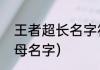 王者超长名字符号（王者荣耀超大字母名字）