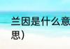 兰因是什么意思（兰因絮果是什么意思）