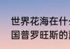 世界花海在什么地方（为什么只有法国普罗旺斯的薰衣草最美）