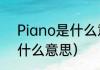 Piano是什么意思（Piano这个词是什么意思）