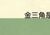 金三角是指哪几个地方