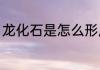 龙化石是怎么形成（龙化石怎么形成）