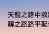 天醒之路中救路平的神秘人是谁（天醒之路路平配音）