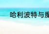 哈利波特与魔法石一共多少分钟