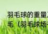 羽毛球的重量及一只羽毛球有几根羽毛（羽毛球场有多少根毛）