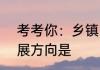 考考你：乡镇(街道)社会工作者的发展方向是