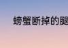 螃蟹断掉的腿能不能重新长出来