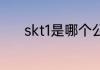 skt1是哪个公司？（skt1战队）