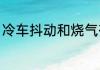 冷车抖动和烧气有关系吗？（气抖冷）