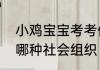小鸡宝宝考考你民办养老院属于以下哪种社会组织