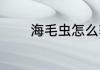 海毛虫怎么获取？（海毛虫）
