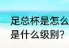 足总杯是怎么参加的？（英超足总杯是什么级别？）