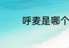 呼麦是哪个民族的歌唱艺术