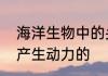 海洋生物中的头足类动物是靠什么来产生动力的