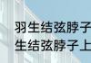 羽生结弦脖子上的项链是什么？（羽生结弦脖子上的项链是什么？）