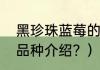 黑珍珠蓝莓的优缺点？（黑珍珠蓝莓品种介绍？）
