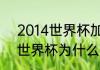2014世界杯加纳队进几强？（2018世界杯为什么没有加纳队？）