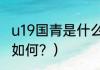 u19国青是什么意思？（法国u19水平如何？）