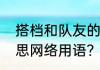 搭档和队友的区别？（搭档是什么意思网络用语？）