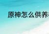原神怎么供养栖木？（原神栖木）